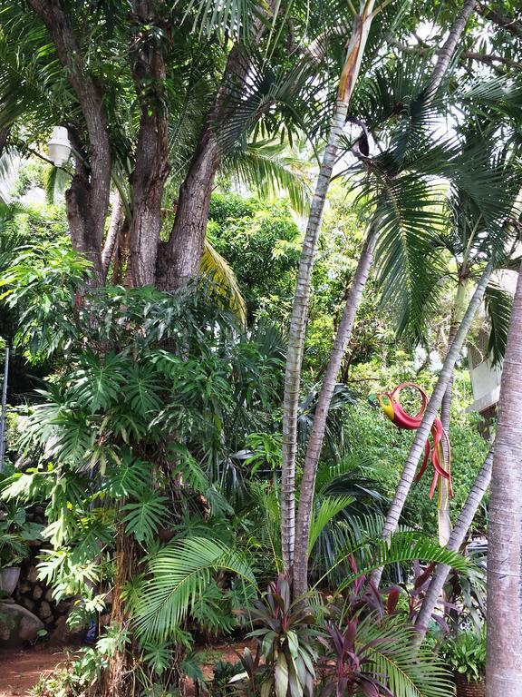 Villa Costa Chica Comodisimo Piscina Gigante Jardines Acapulco Eksteriør billede
